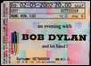 bob dylan ticket